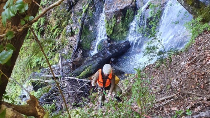 Encuentran con vida a enfermera desaparecida en Puerto Varas