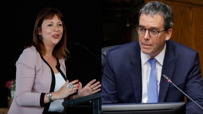 Harboe renuncia al PPD para 