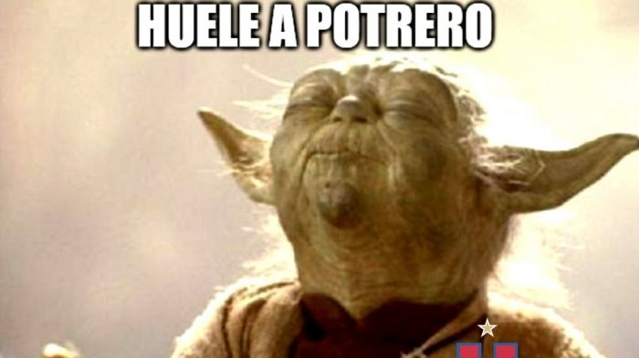 Los mejores memes que dejó el triunfo de la UC sobre la U en el clásico universitario