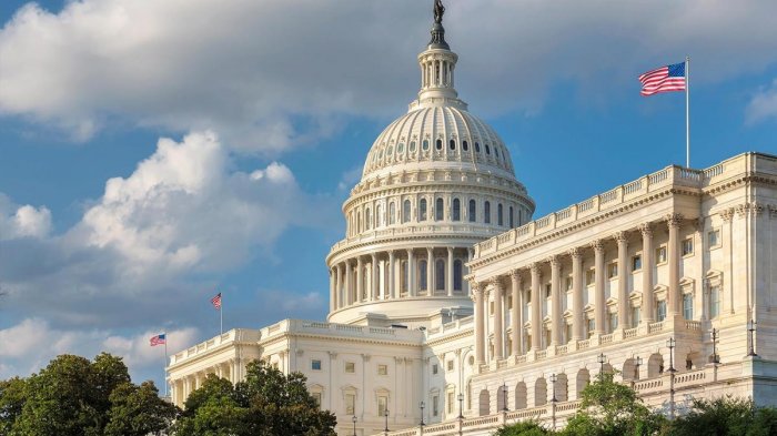 Estados Unidos: Congresistas proponen crear el 