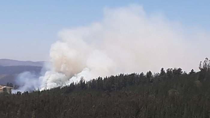 Decretan Alerta Roja en Paredones por incendio forestal cerca de lugares habitados
