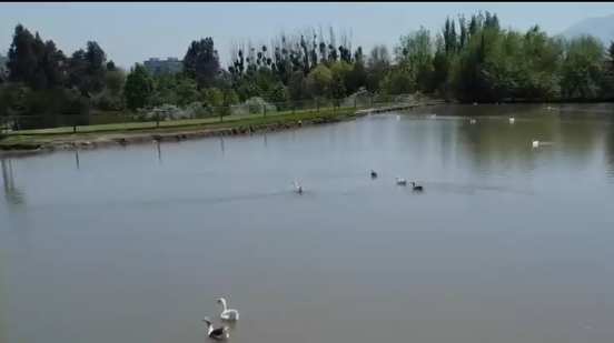 Incierto futuro del Parque Intercomunal: Municipios discutirán su administración tras acusación por cohecho