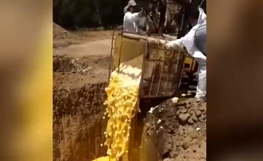 No los pudieron vender por huelga: Avícola bota a una fosa más de un millón y medio de huevos