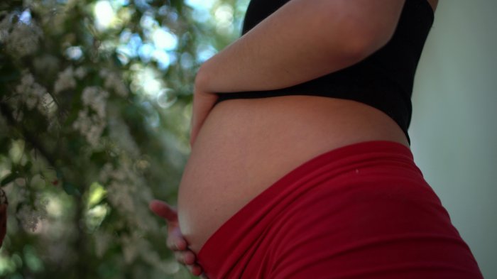 Emergentes 2, capítulo 9 | En busca de un parto respetado