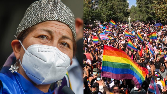 Elisa Loncon envió mensaje a la comunidad LGBTQ+ en marcha del Orgullo: 