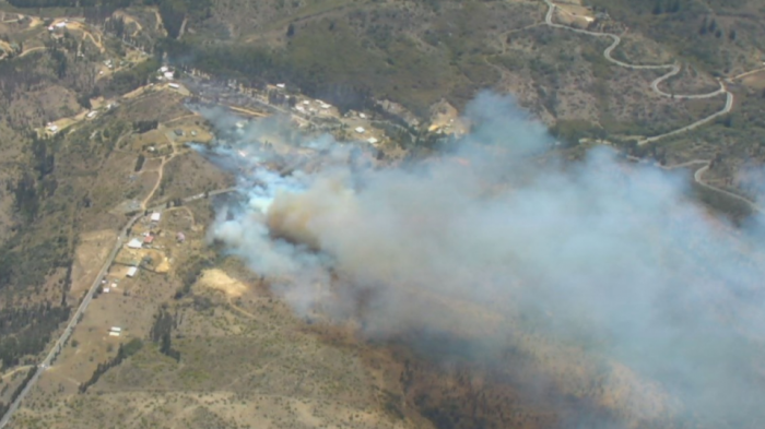 Cartagena en alerta roja por incendio forestal: Delegación Presidencial reportó dos viviendas afectadas
