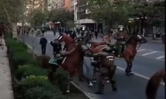 Proyecto de ley busca impedir uso de animales como elemento disuasivo en manifestaciones