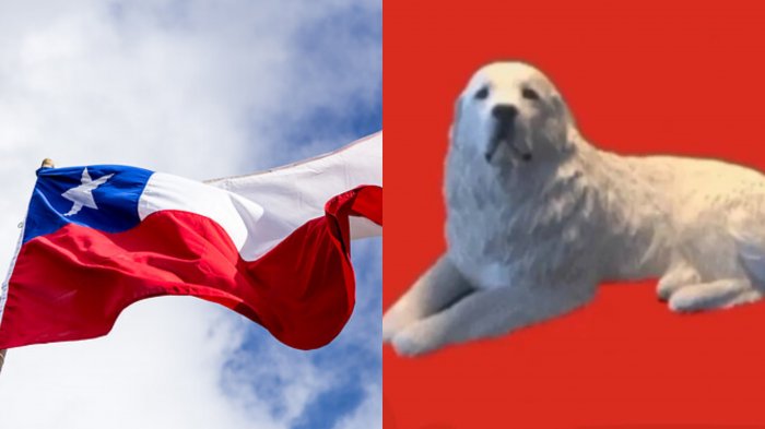 Recrean banderas de diferentes países con inteligencia artificial: Un perro fue el resultado de Chile