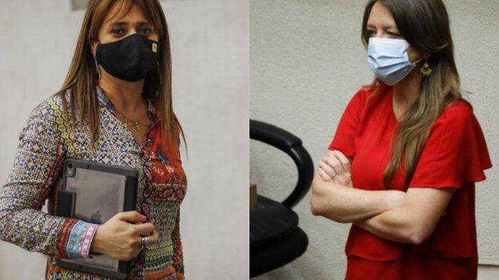 Ena von Baer y Jacqueline Van Rysselberghe quedan fuera del Senado