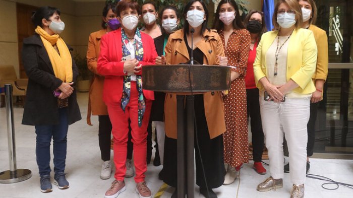 Ley Kaiser: Diputadas presentan proyecto contra 