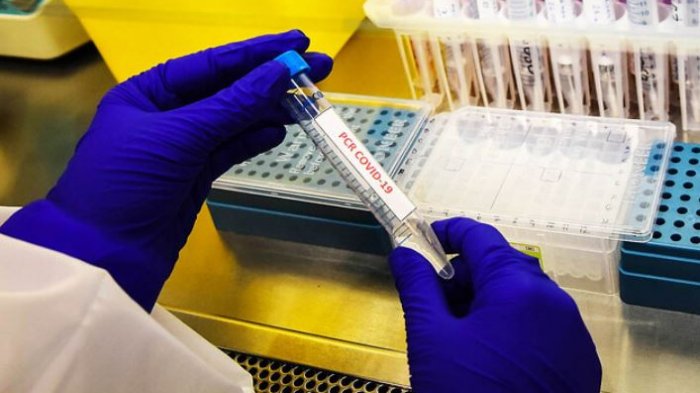 Preocupación internacional: Nueva variante de COVID-19 detectada en Sudáfrica llegó a Europa