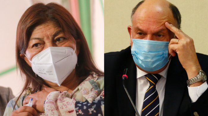 Elisa Loncon criticó a diputado Bobadilla por difundir fake news contra ella: 