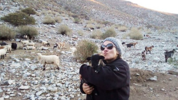 Fue hallada maniatada: Investigan muerte de activista ambiental Javiera Rojas en Calama