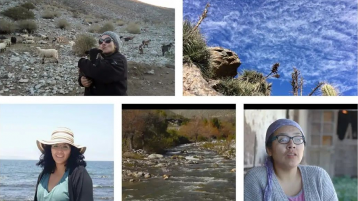 Defensa del agua, territorios y ruralidad: Quién era Javiera Rojas y su importante rol en el activismo ambiental