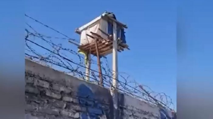 Hombre se construyó una ruca entre dos postes de luz en La Pintana