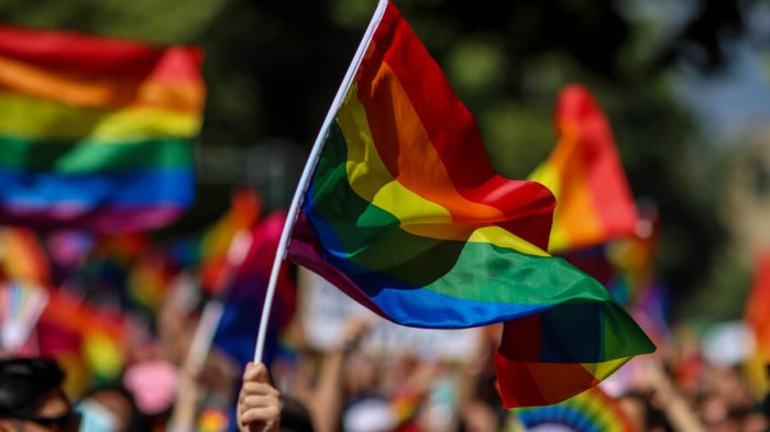 Con varios apoyos oficialistas: Así votaron en el Congreso el proyecto de matrimonio igualitario