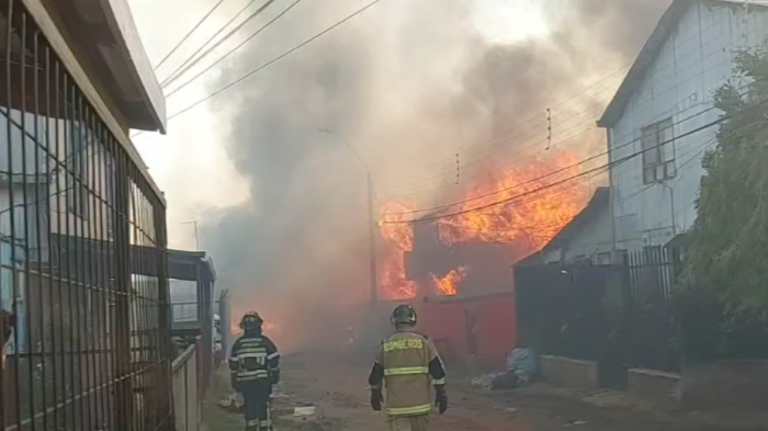 Incendio forestal en Castro obliga a evacuar a poblaciones de la zona: Al menos 80 viviendas destruidas