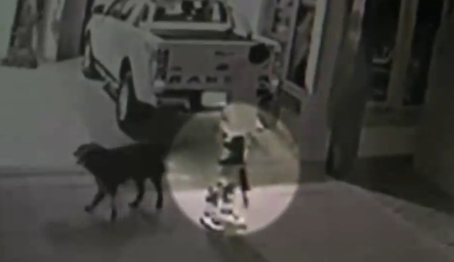 Ingresaron con un presunto fusil: Víctima enfrentó a delincuentes al interior de su casa con una pistola a balines