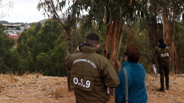 Mujer fue hallada atada con alambre de púas en una quebrada de Reñaca