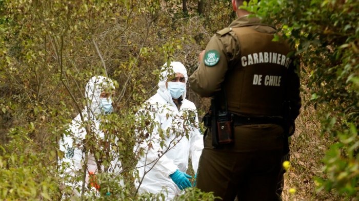 Imputado por golpear y amarrar con una alambre de puás a una mujer en Reñaca quedó en prisión preventiva