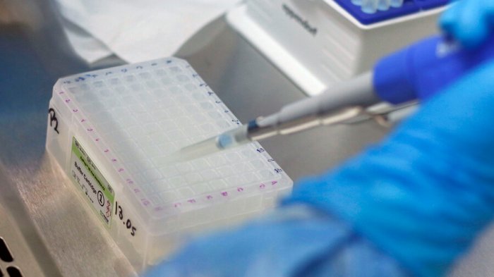 Seremi de Salud confirma primer caso de variante ómicron en la Región Metropolitana