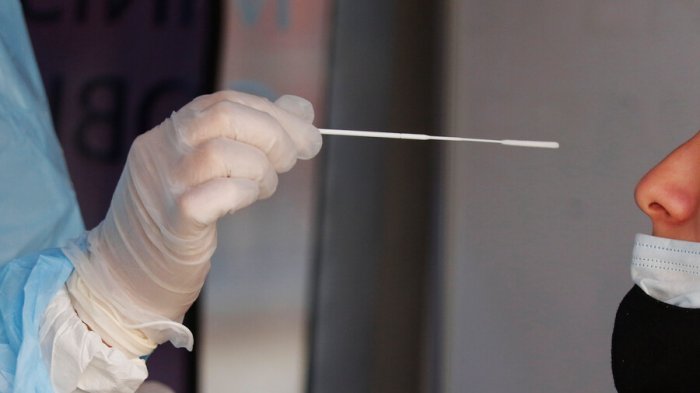 ISP alerta sobre ómicron y cifra en 29 los contagiados: “Podríamos decir que hay casos comunitarios”