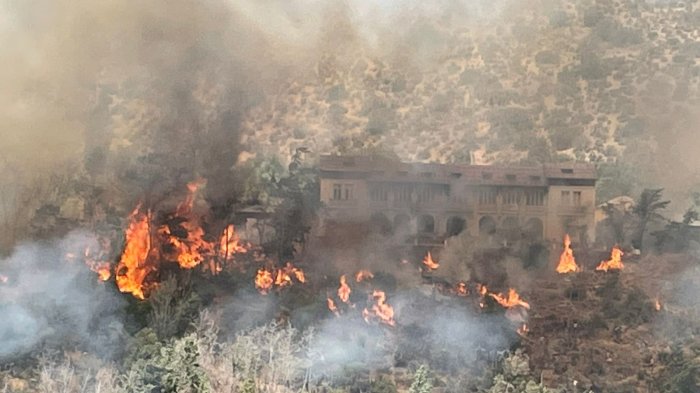 Incendio forestal en San José de Maipo afecta a viviendas del sector: Decretan Alerta Roja