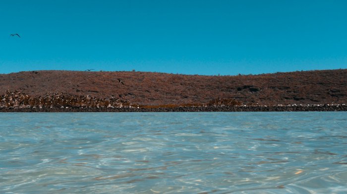 ¿No será mucho? Aprueban las investigaciones para concretar la minería submarina en el Pacífico