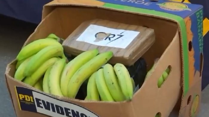 La banda detrás de los 