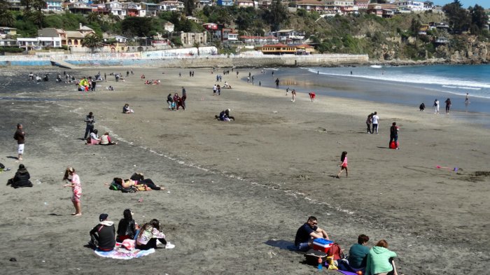 11 comunas avanzaron y sólo una retrocedió: Revisa los cambios de este sábado en el Plan Paso a Paso