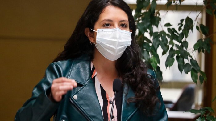 Diputada Yeomans y acuerdos en el Congreso: 