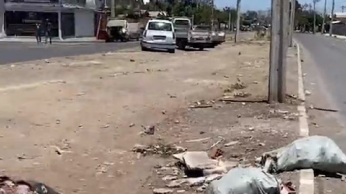 Vecinos de Maipú denuncian faenamiento y hallazgos de pieles de perros en campamento