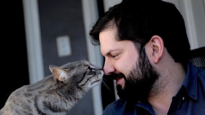 Bulu: El gatito de Irina Karamanos que acompaña a Brownie como las mascotas presidenciales