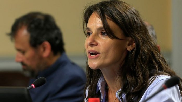 Andrea Repetto cree que el gobierno de Boric será de transición: 