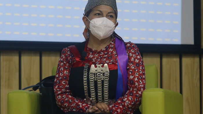 Loncon y rol del actual gobierno ante la CC: 