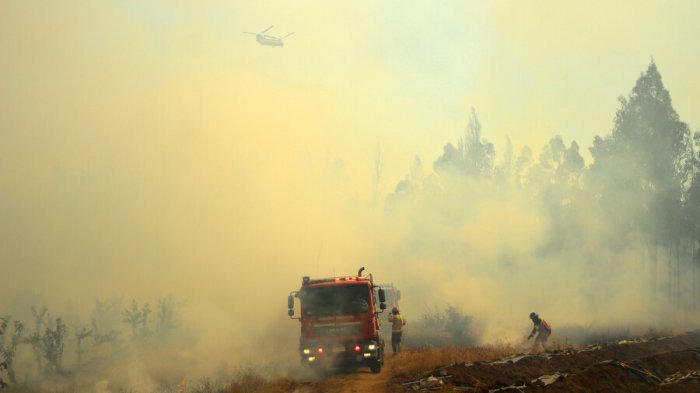 Incendios forestales: Gobierno decreta Zona de Emergencia Agrícola en Quillón y compromete ayuda a damnificados