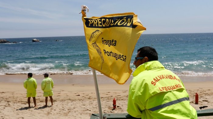 Seremi decreta cierre de playas en Puchuncaví por presencia de Fragata Portuguesa