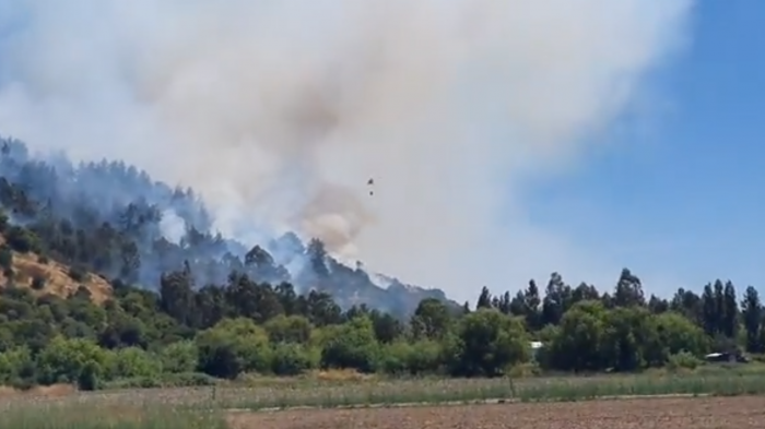 Declaran Alerta Amarilla por incendio forestal en la comuna de Yerbas Buenas