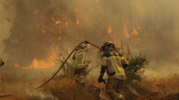 Chile alcanzó la cifra de 15 incendios forestales activos a lo largo del país
