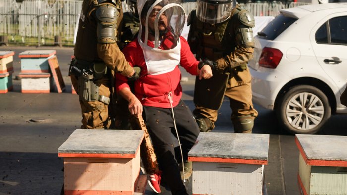 Cuatro personas detenidas tras protesta de apicultores frente a La Moneda: Liberaron cajas llenas de abejas