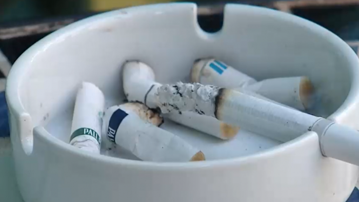 A partir de este verano: Ley prohíbe fumar en playas, ríos y lagos