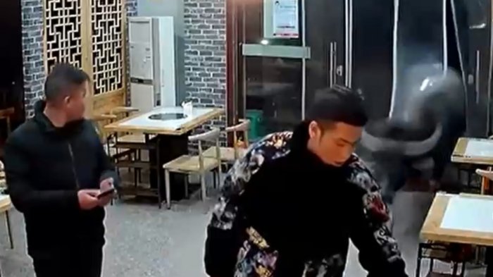 Se habría escapado de un matadero: Búfalo lanzó a hombre por los aires tras ingresar a un restaurante en China