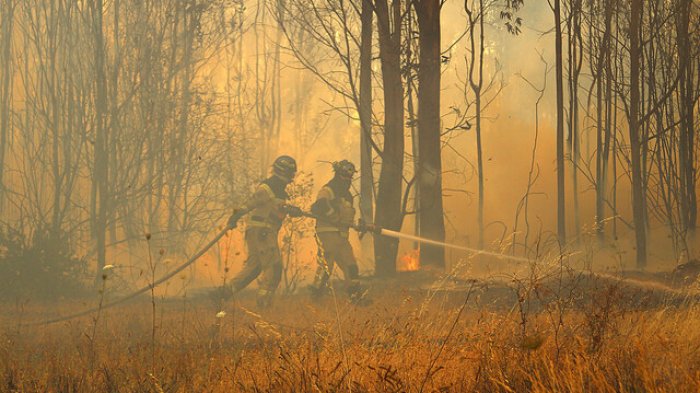 Alerta Temprana Preventiva en RM: ¿Cómo prevenir incendios y qué hacer en caso de uno?