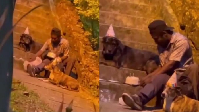 Emocionó a las redes sociales: Hombre en situación de calle celebró el cumpleaños de sus perros