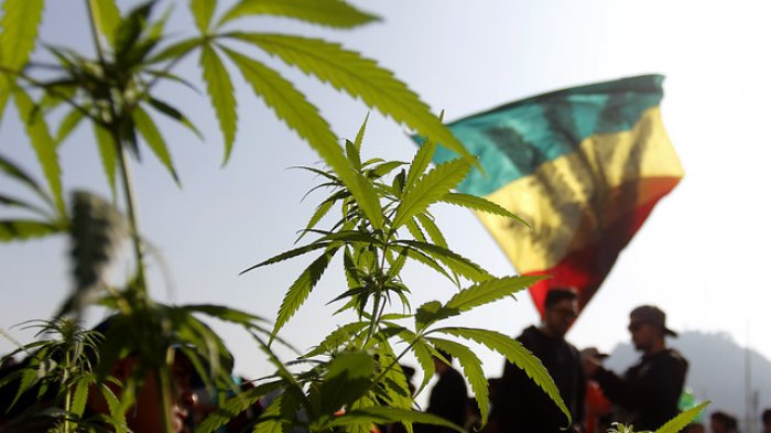 En menos de 24 horas: Propuesta 