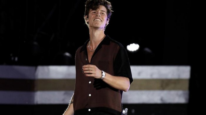 Shawn Mendes estrenó el video de 