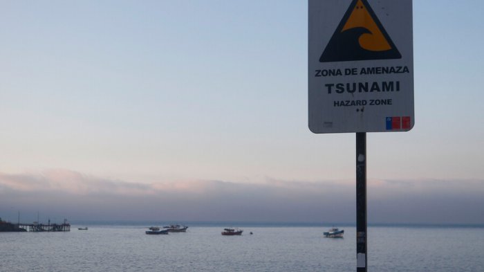 Informativo, precaución, alerta y alarma: ¿Qué significan los estados que pueden decretar ante un posible tsunami?