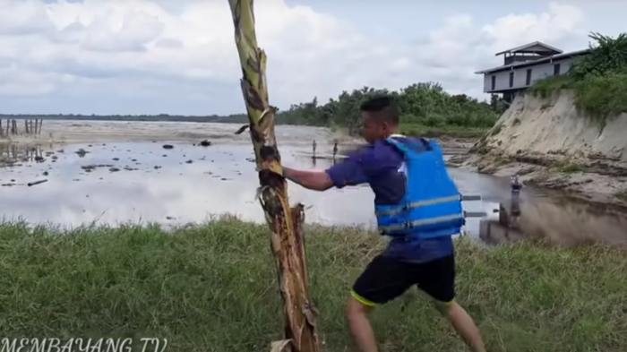 La explicación tras el masivo video en el que un hombre boxea un árbol mientras espera un tsunami