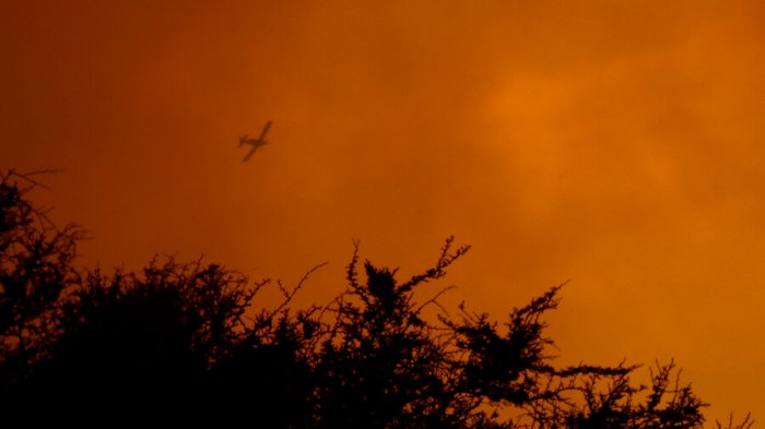 Decretan alerta roja en la comuna de Valparaíso por incendio forestal