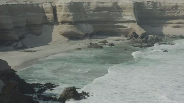 Congreso Futuro: La importancia del Omega 3 y el cuidado del mar